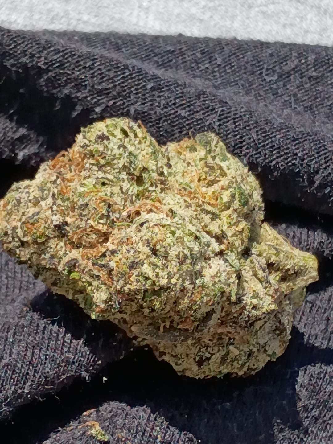 Customer photo review of Velvet Skunk