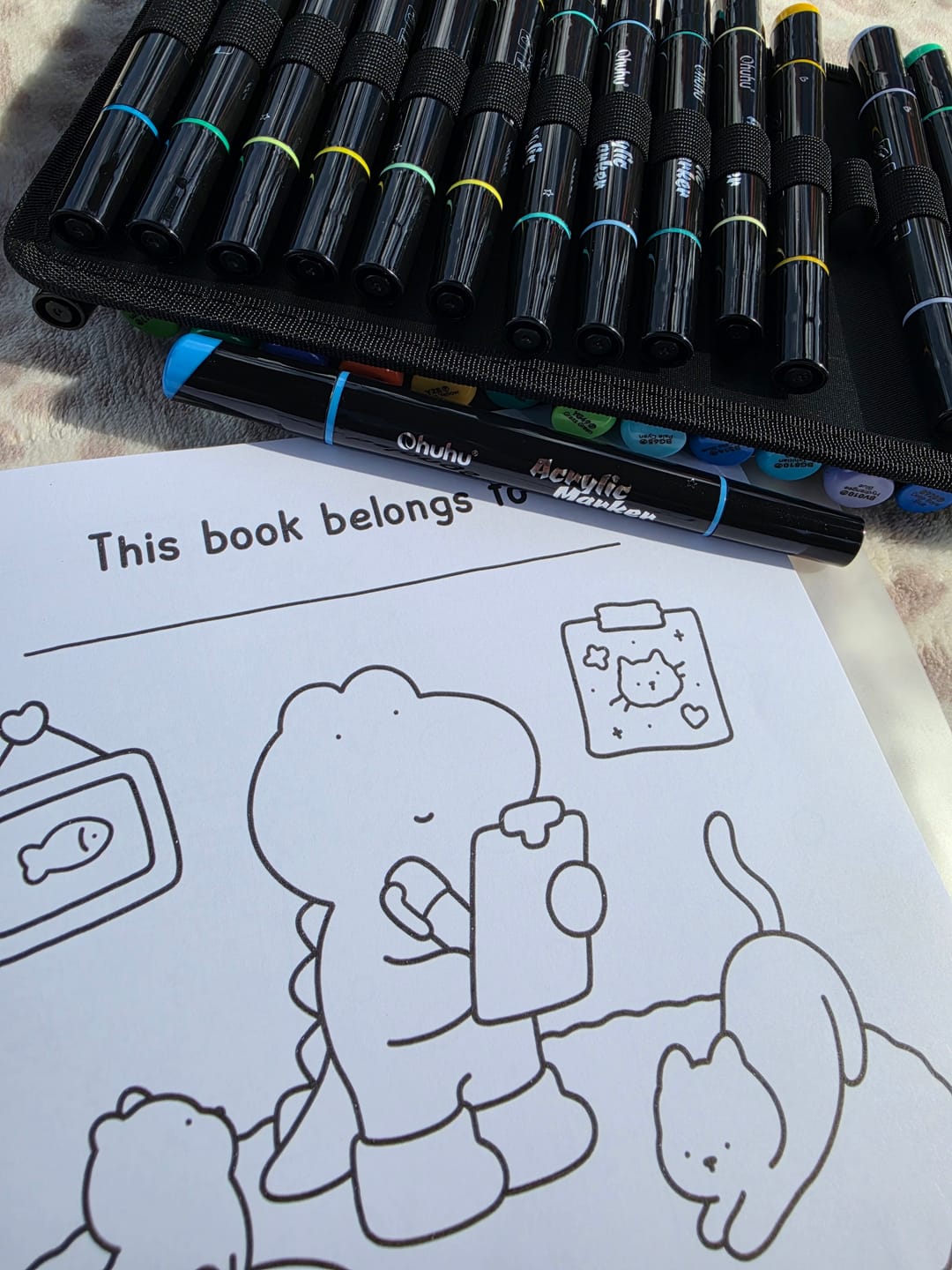 Customer photo review of Ohuhu Dual Nib Waterproof Acrylic Pen 30 / 60 / 90 Colors - Kakaako