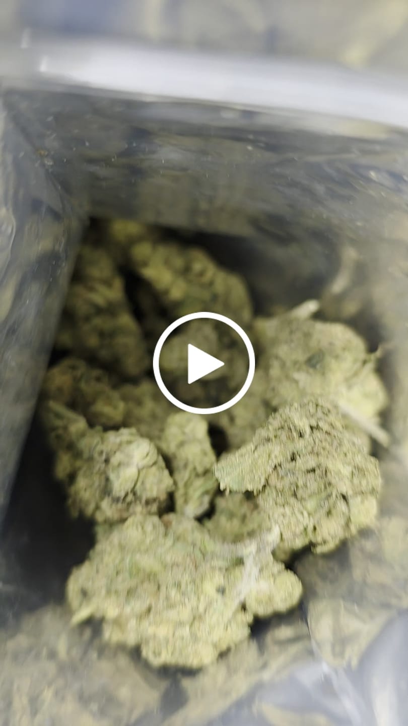 Customer video review of Blue Zushi | Bottoms | Hybrid