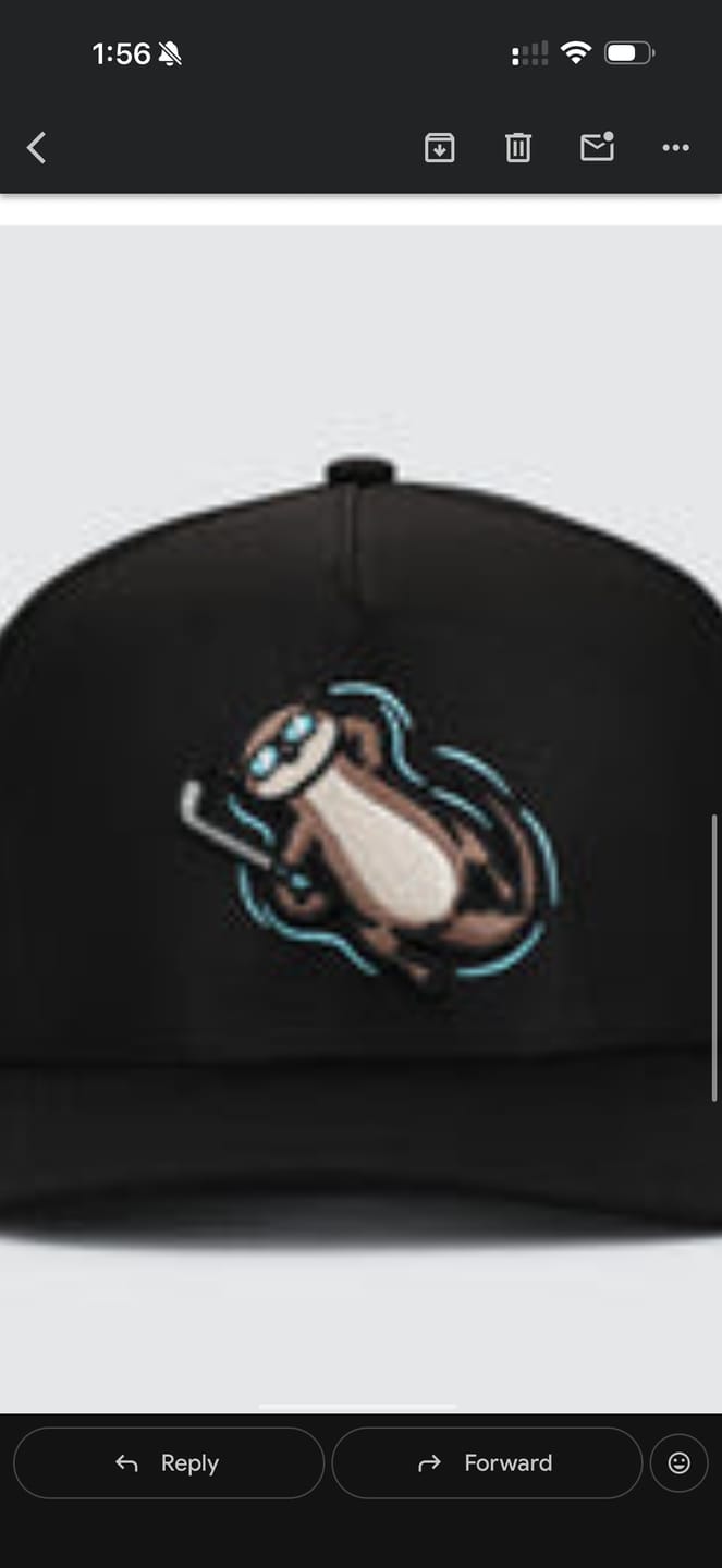 Customer photo review of Otter Nonsense Hat
