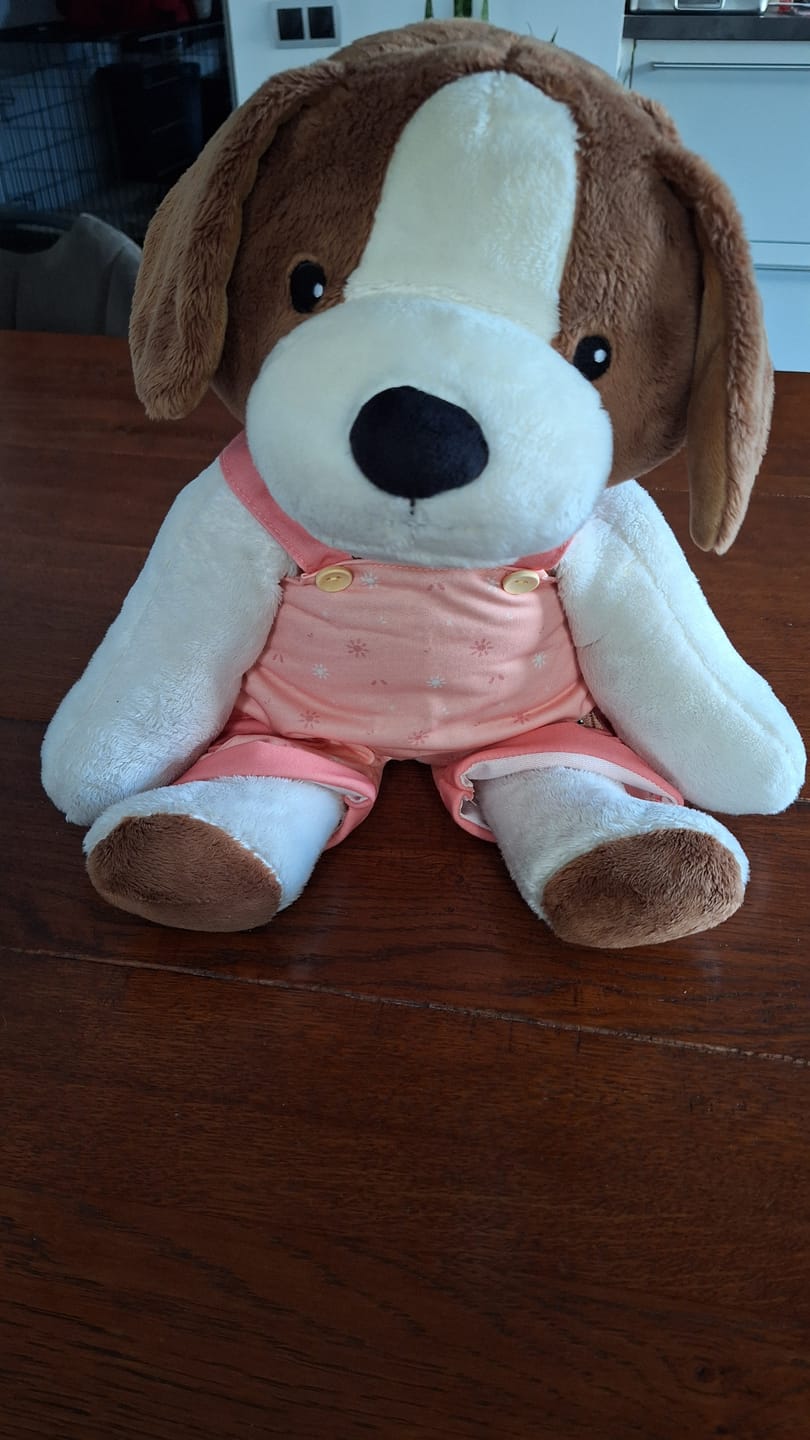 Customer photo review of Hond Kleding Lente Lotgenootje