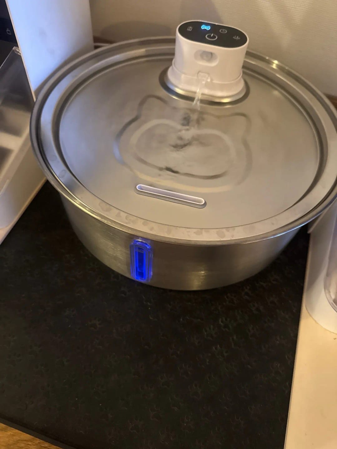 Customer photo review of 8L Wireless Whisker Co Drinking Fountain