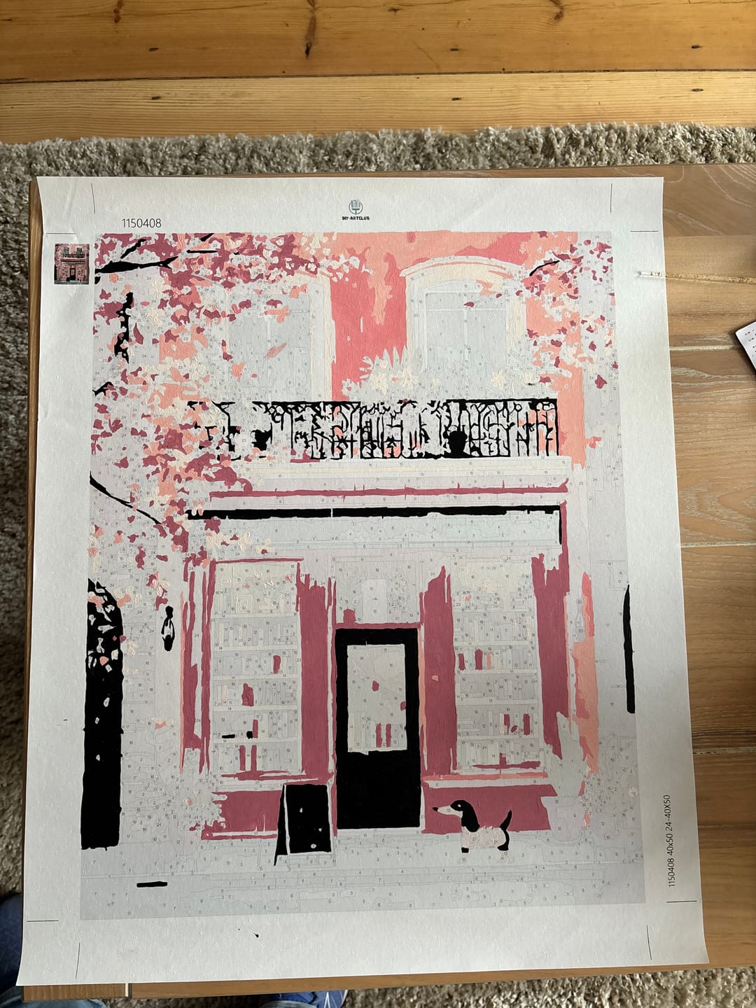 Customer photo review of Boutique in pink | Paint by Number