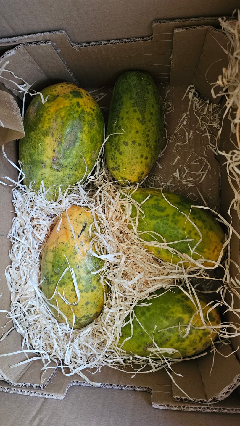 Customer photo review of Papaya Bio von Julian 4,5kg Box Sonderaktion %