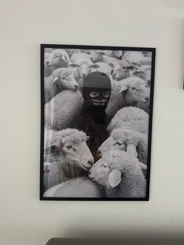 Reviewer's Black Oak Gallery Frame on a wall, holding a black and white print of a person among sheep.