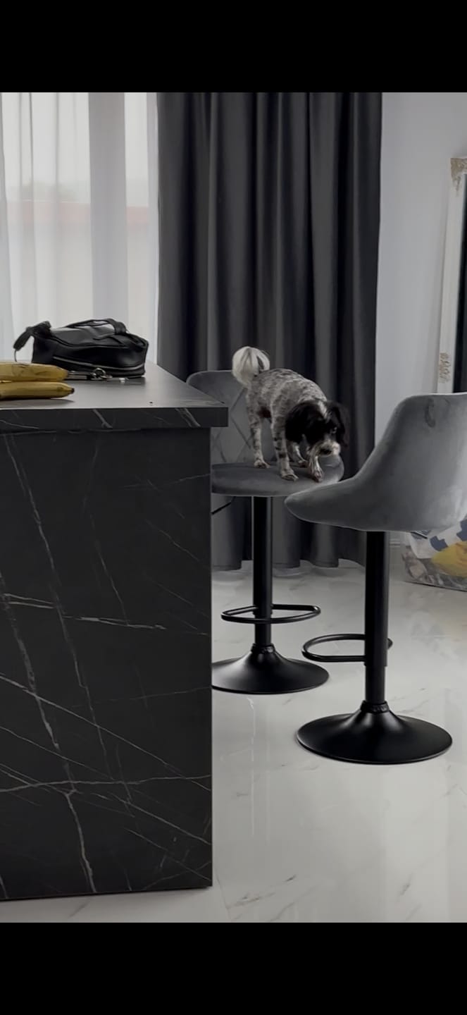 Customer photo review of Scaun de bar rotativ H101, stofa catifelata gri - Bluvel 14, 47x45x106 cm