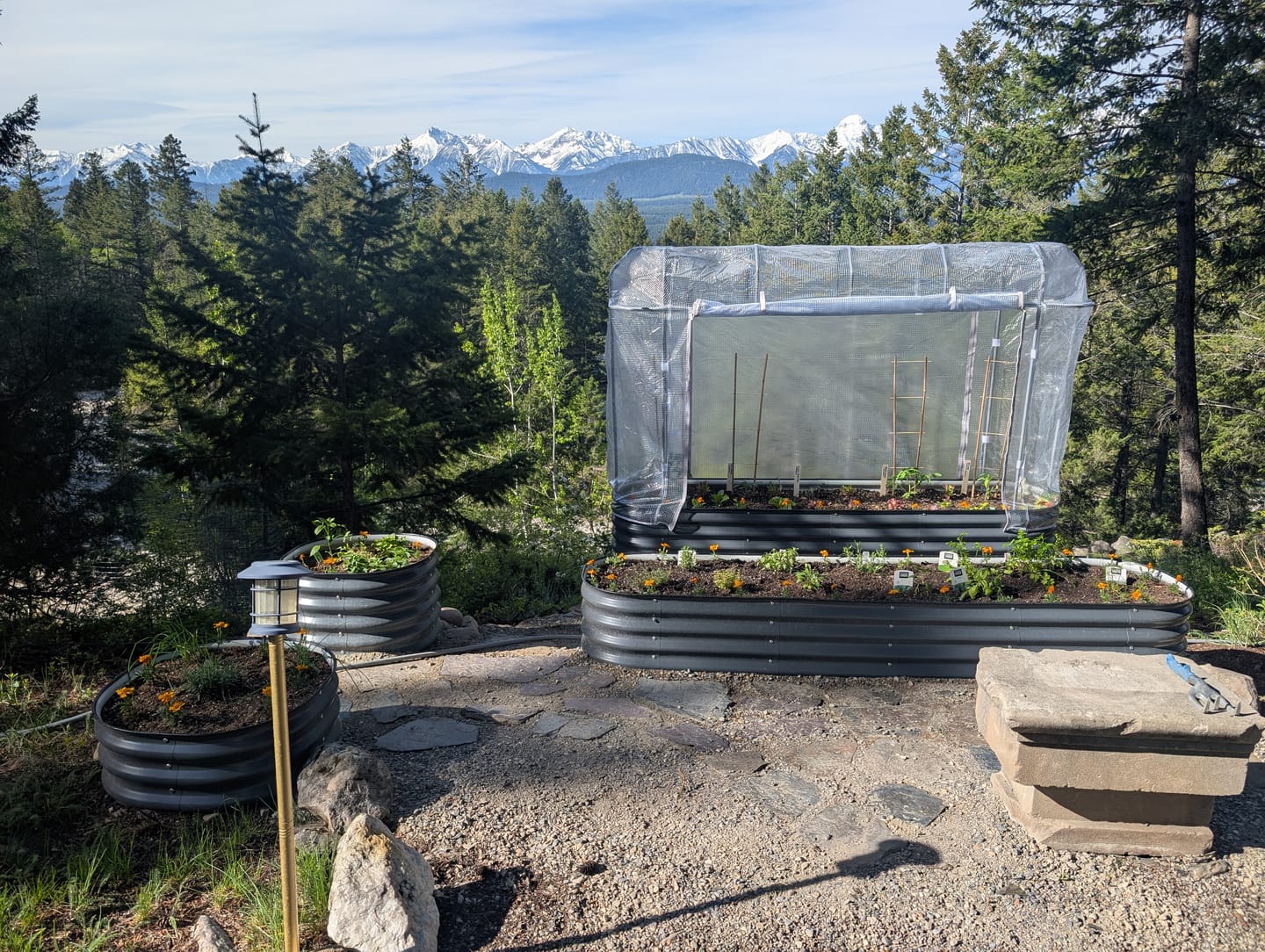 Customer photo review of Garden Cover System