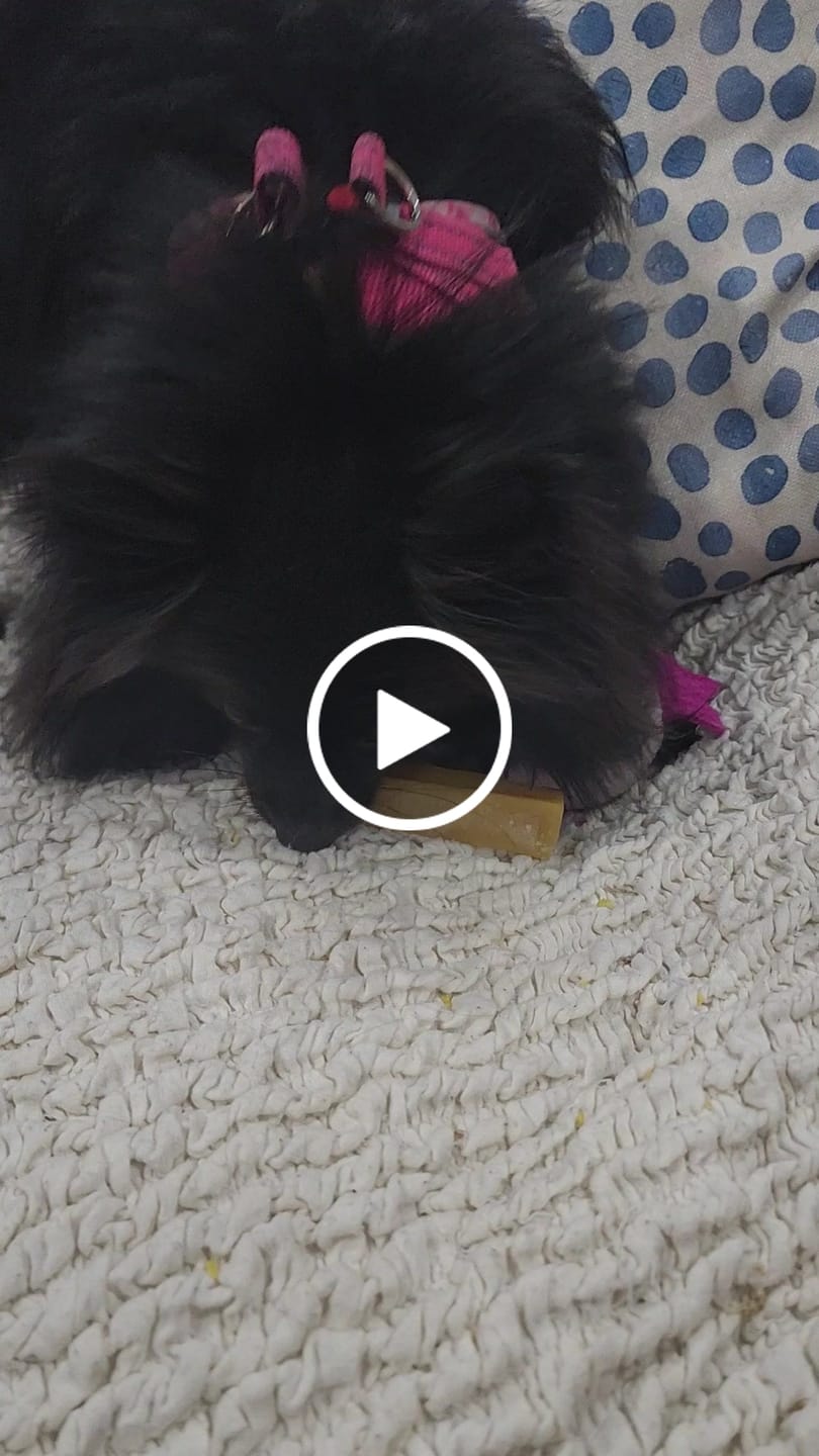 Customer video review of Long-Lasting Yak Chews — 6 Flavor Pack