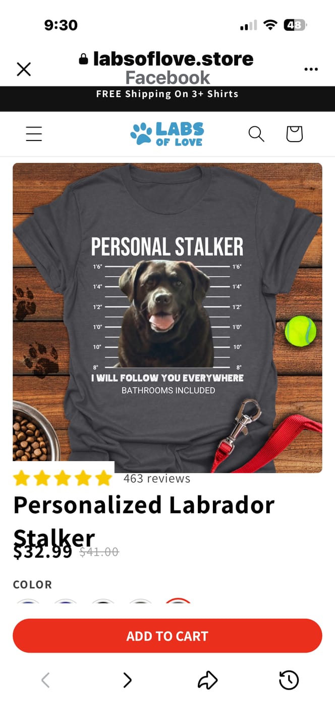 Customer photo review of Personalized Labrador Stalker