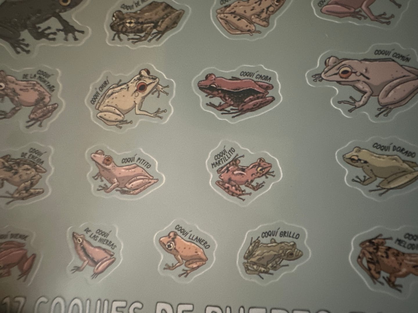 Customer photo review of Sticker Sheets