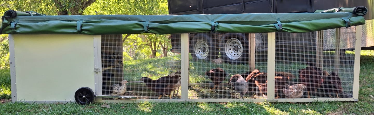Customer photo review of Mobile Chicken Coop / Chicken Tractor