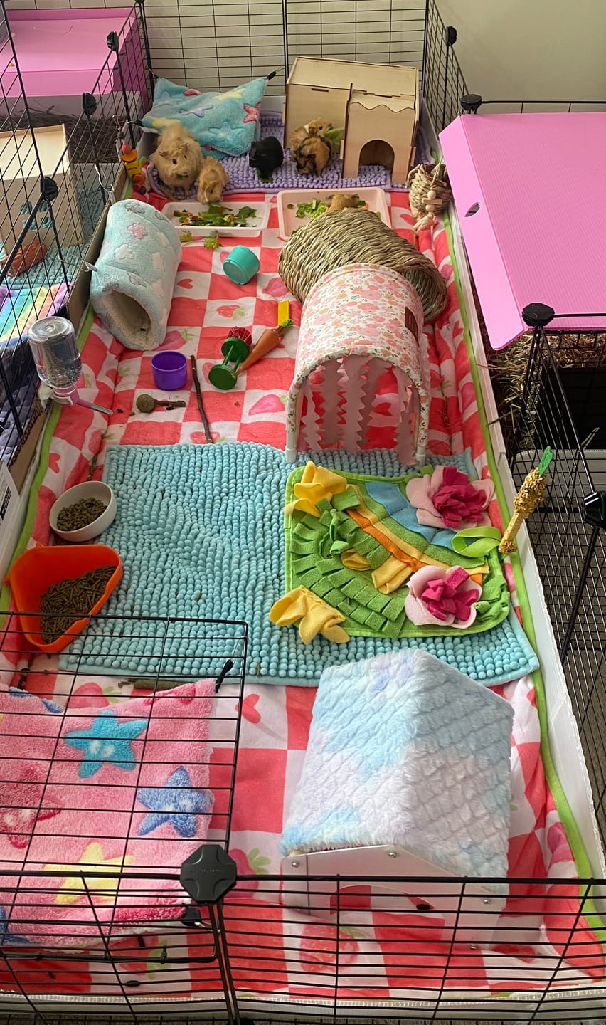 Customer photo review of Fleece Liners | Strawberry