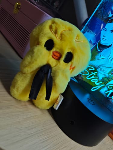Customer photo review of Kpop Doll Magnetic Keychain