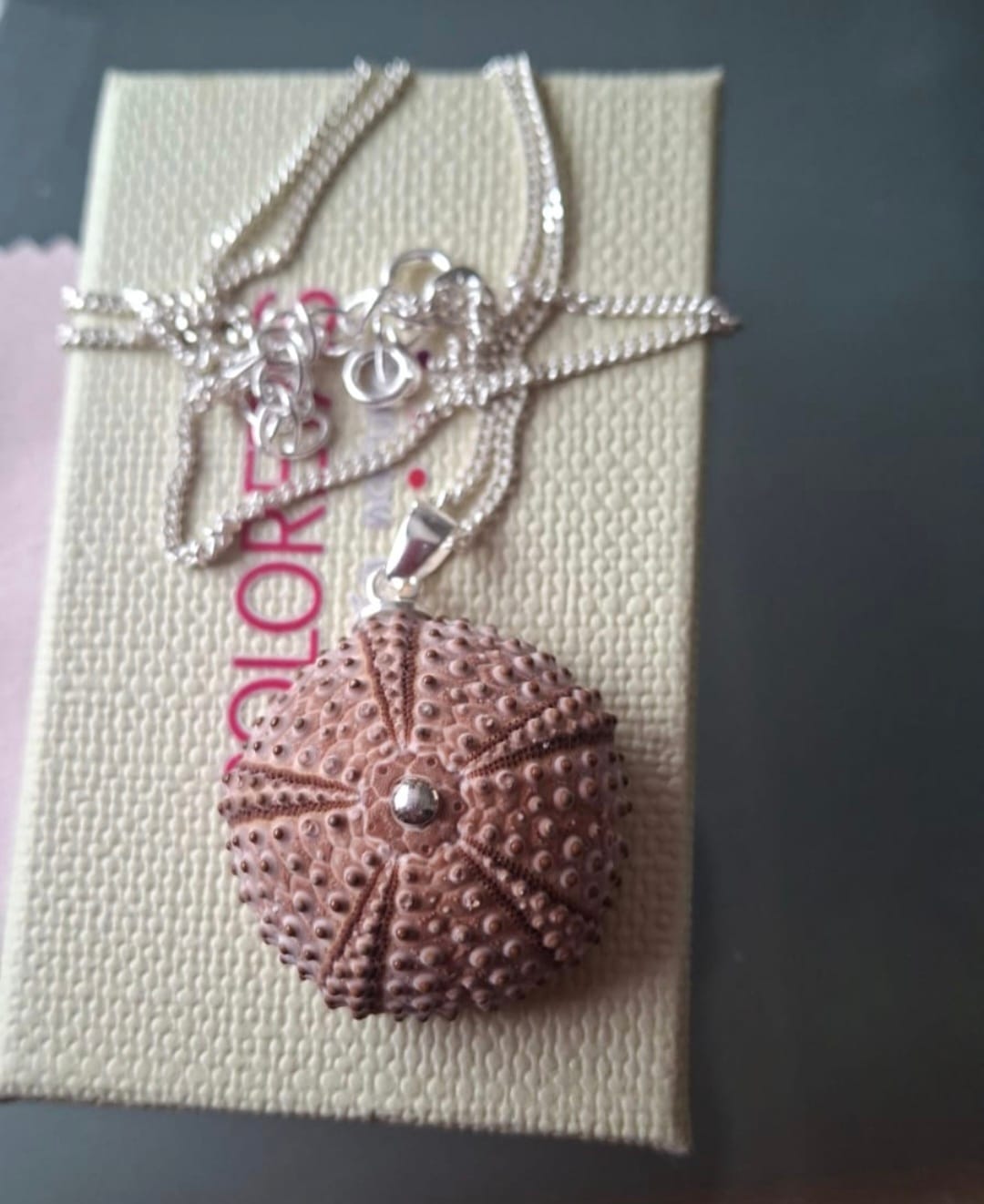 Customer photo review of Colgante Erizo Rosa Natural Mediano