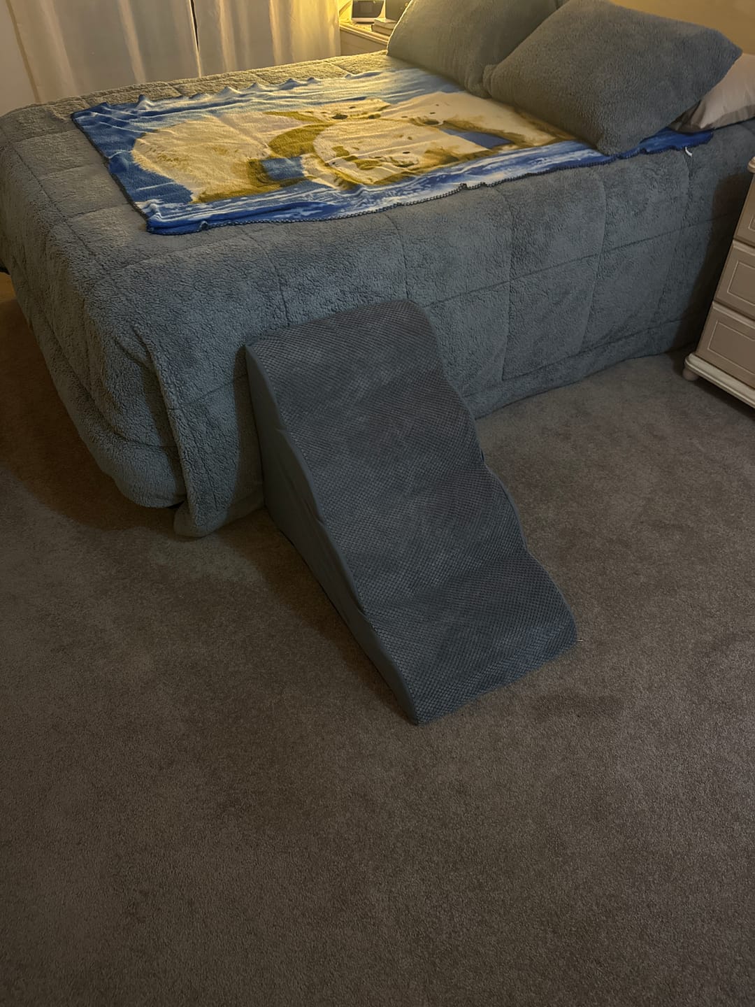 Customer photo review of Foam Pet Steps for Small & Large Dogs