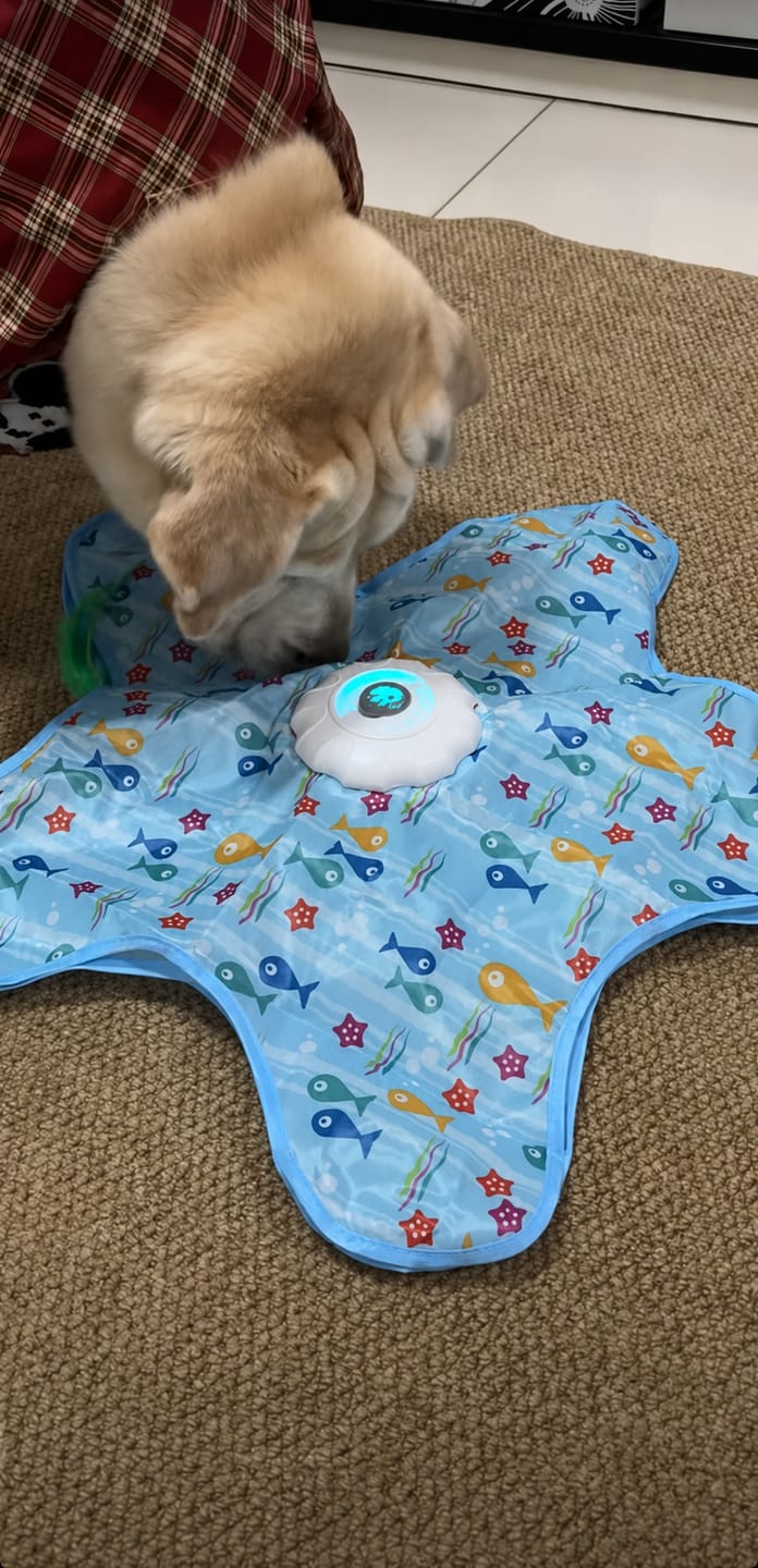 Customer photo review of Teasing UFO