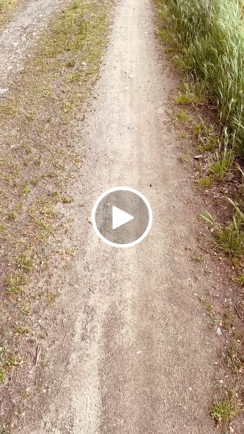 Customer video review of Clay Karoo Clog