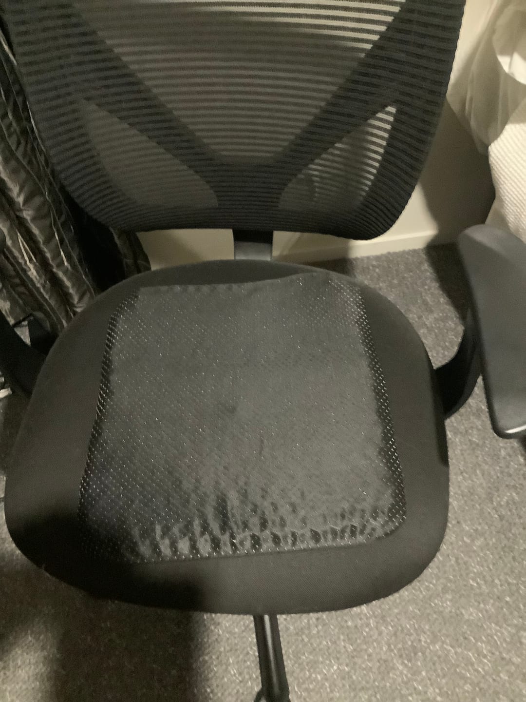 Customer photo review of Advanced Orthopaedic Pressure Relief Cushion