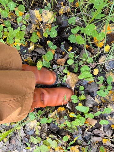 Customer's top-down view of their Cognac Tankwa Boots on a ground covered with green plants and leaves.