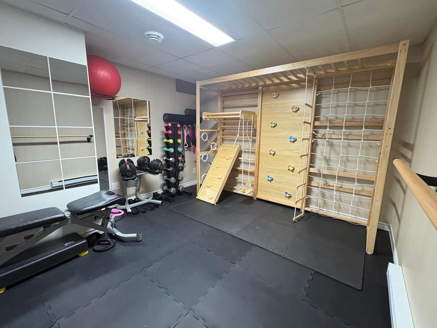Customer photo review of Monkey Bar Attachment – For 79 Inch MODULAR Walnut Swedish Ladder