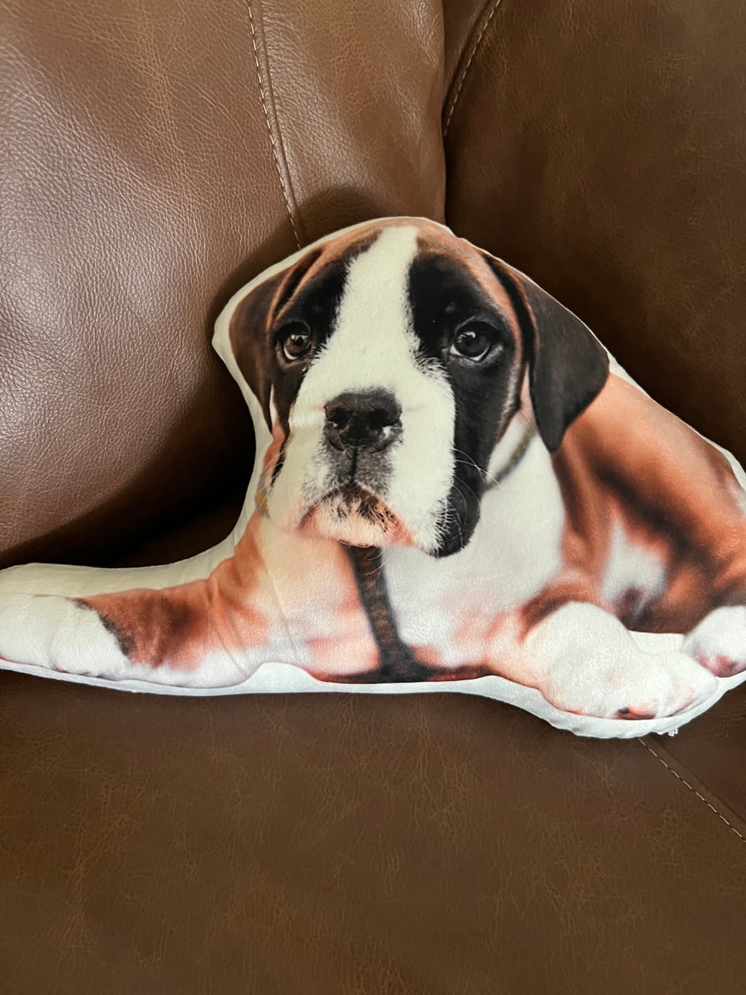 Customer photo review of Custom Dog Shaped Memorial Pillow for Pet Owners from Your Pet Picture