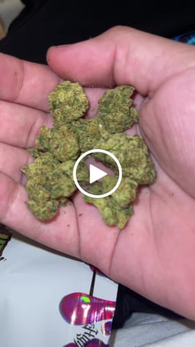 Customer video review of Greenhouse Flower