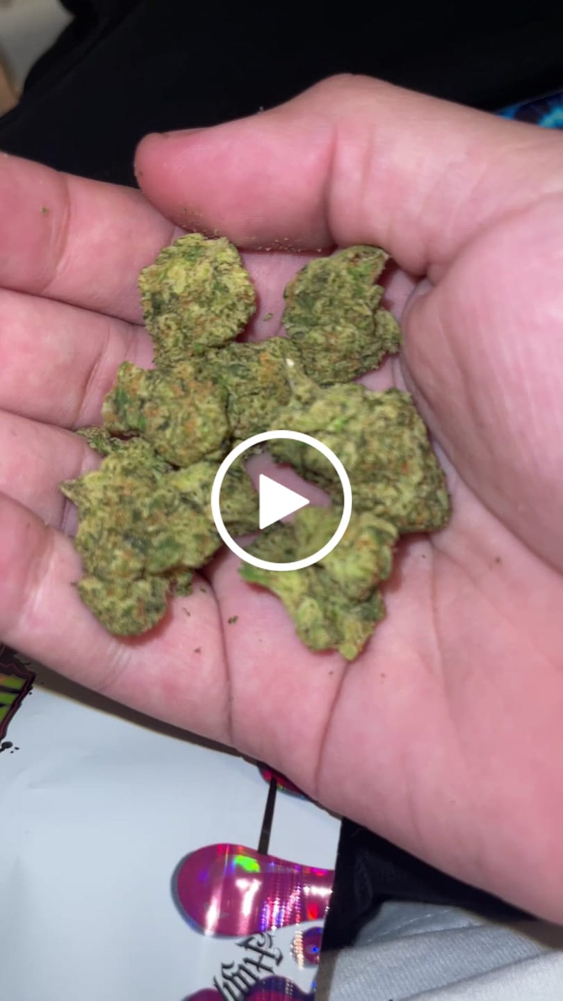 Customer video review of Greenhouse Flower
