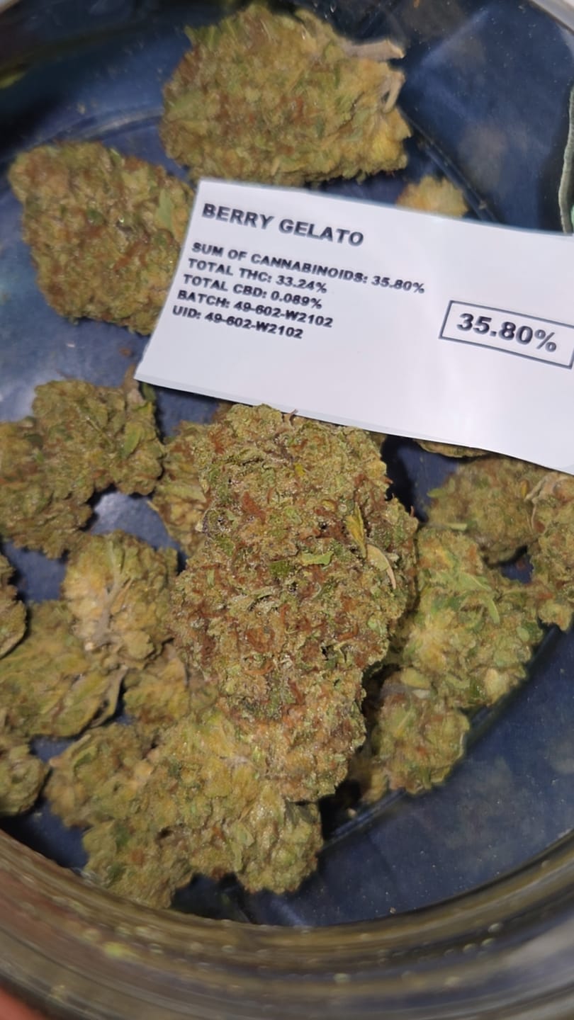 Customer photo review of Berry Gelato - 28 Grams - Indica