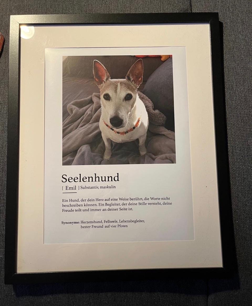 Customer photo review of Personalisiertes Poster - Definition Seelentier