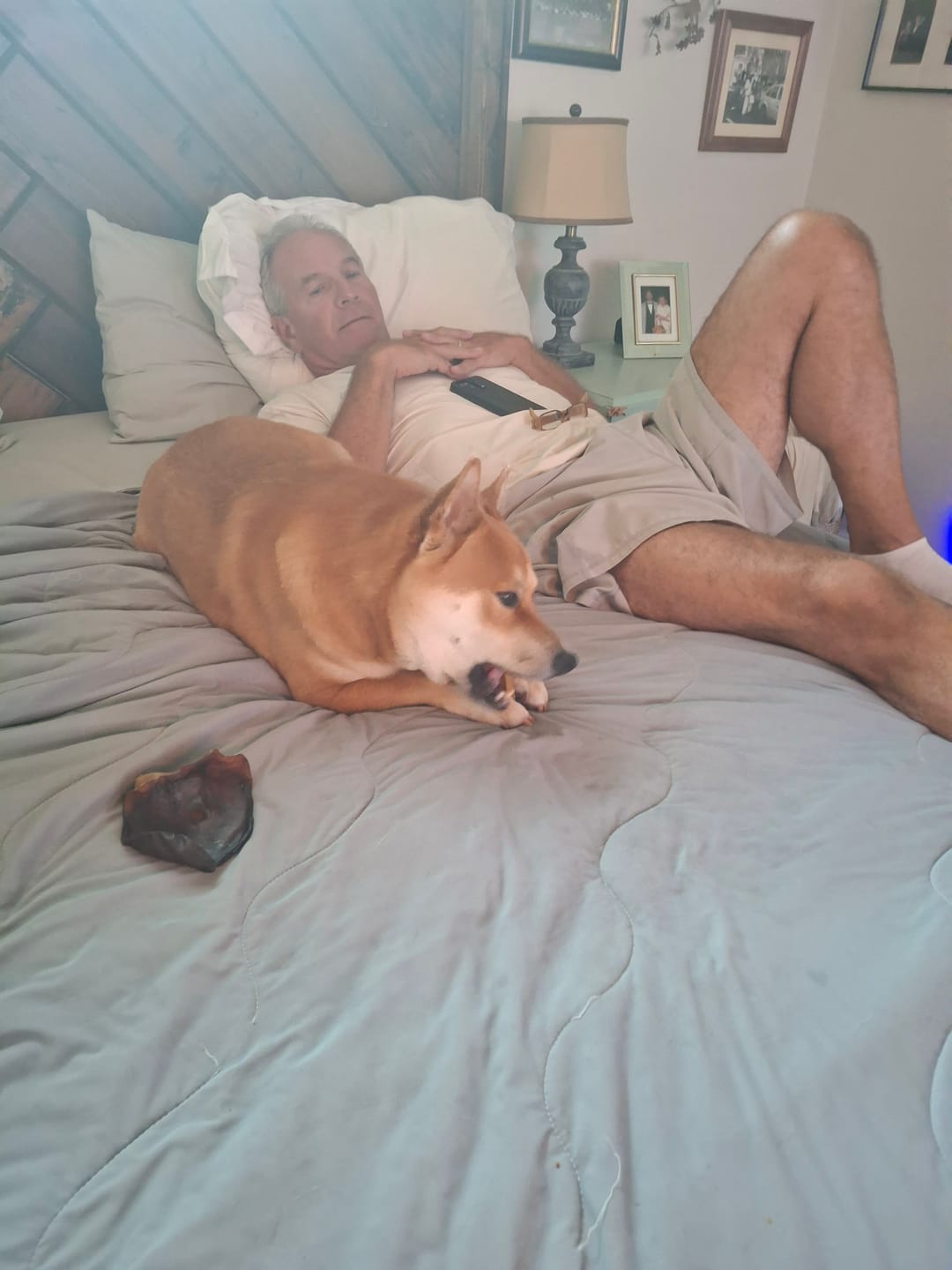 Customer photo review of Regular Bully Sticks