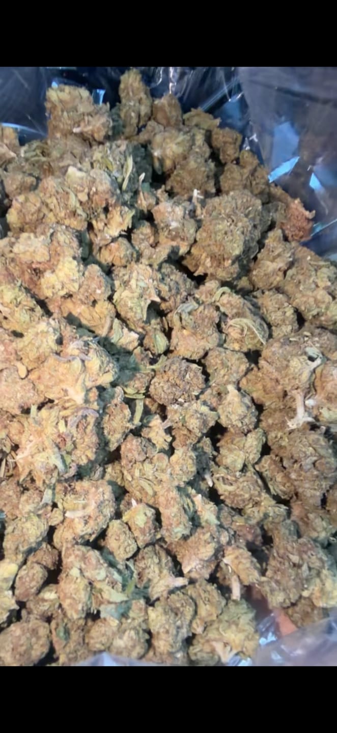 Customer photo review of Butterscotch OG - Bulk - Indica