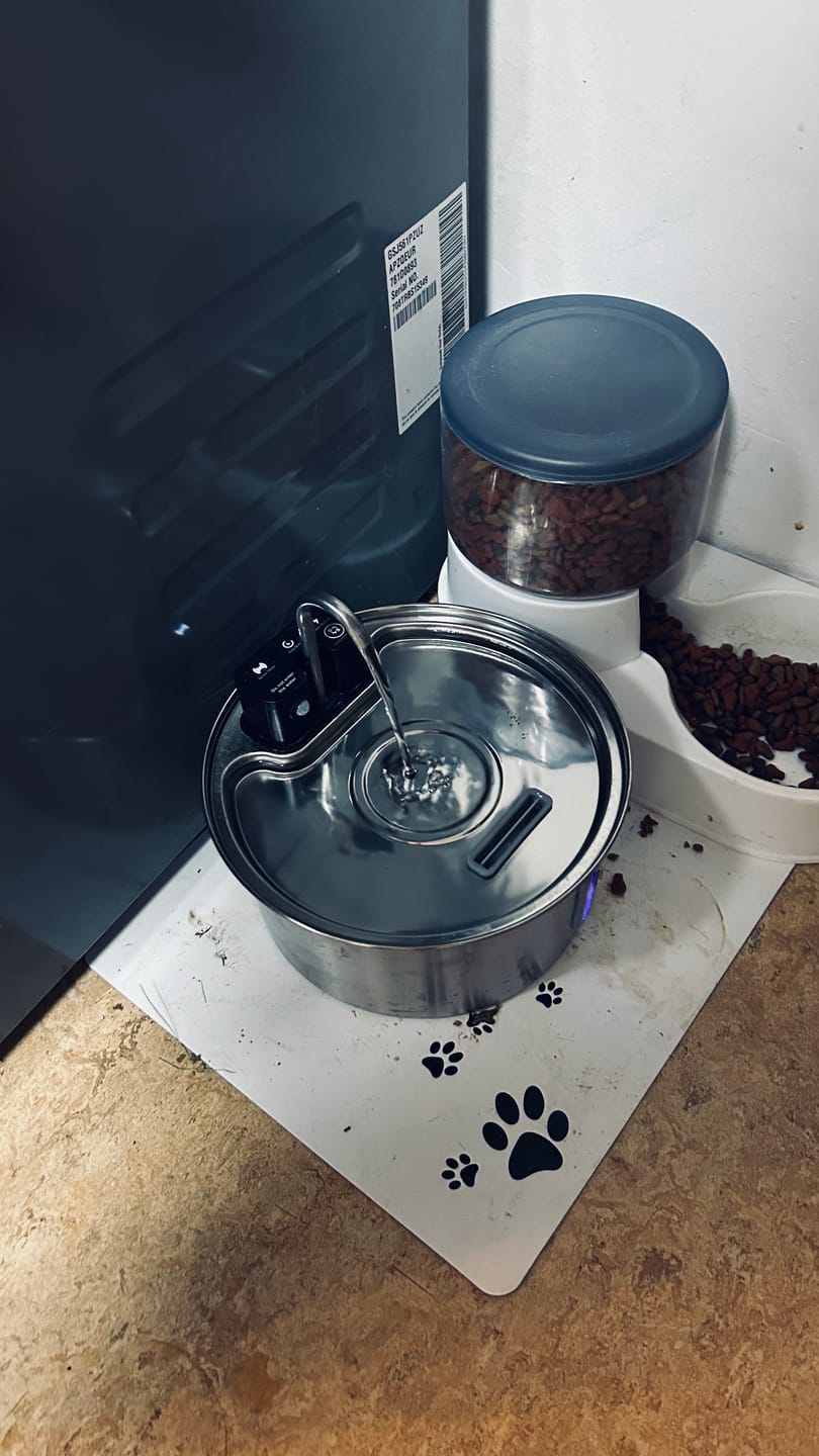 Customer photo review of NordFlow 2.0 Katzenbrunnen