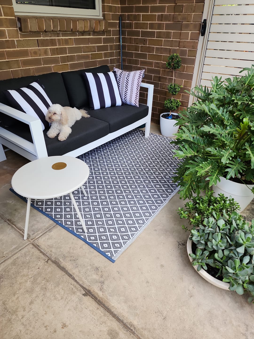 Customer photo review of Sandpiper 2.0 Outdoor Loveseat