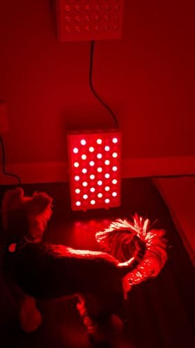 Customer photo review of MIDI 2.0