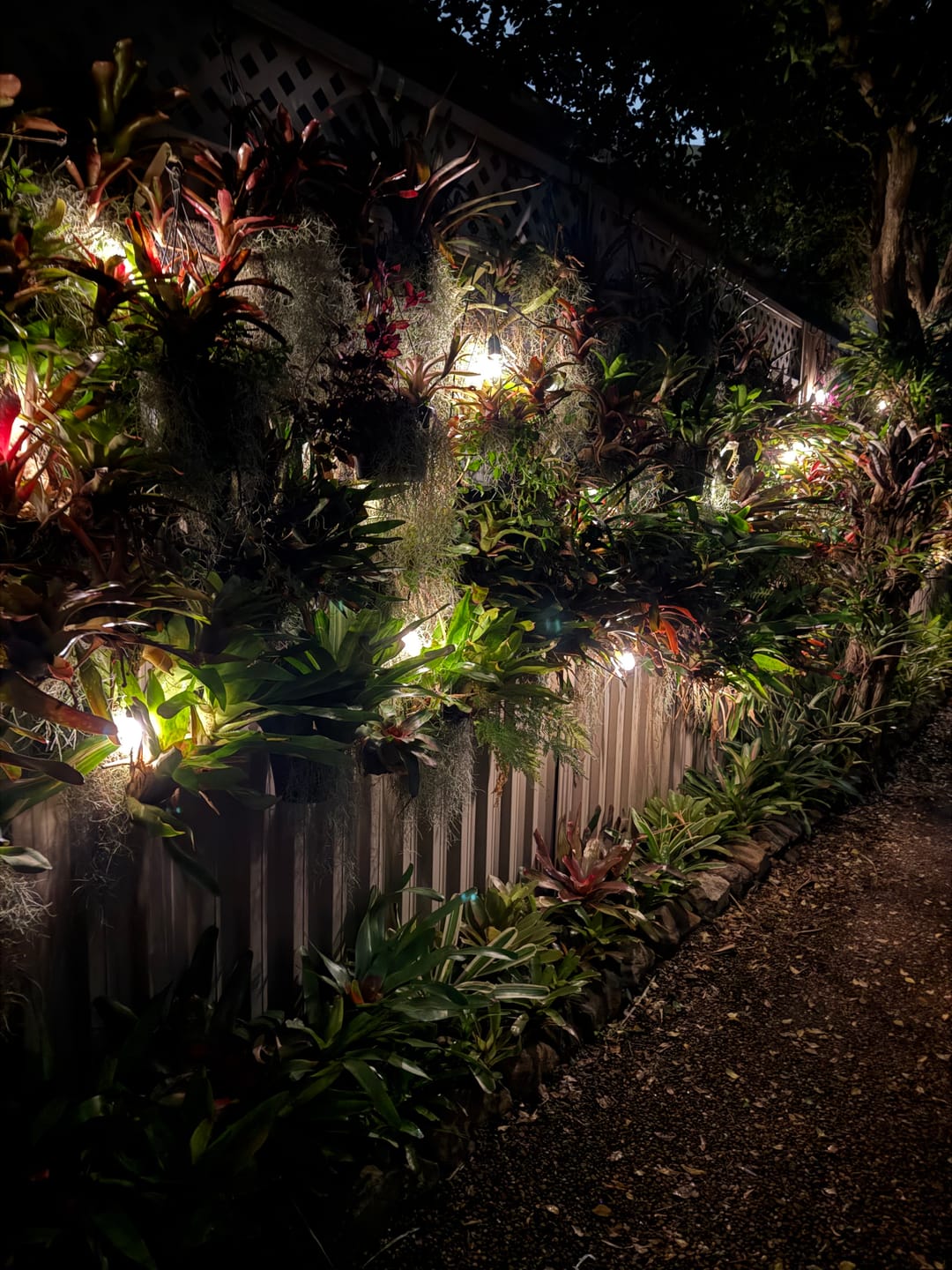 Customer photo review of Solar Festoon Lights – 15m