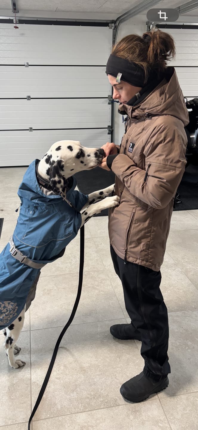 Customer photo review of Pack&Dry Quick Zip Pants I Black I Mateo