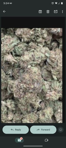 CBD Flower - Abacus Diesel photo review