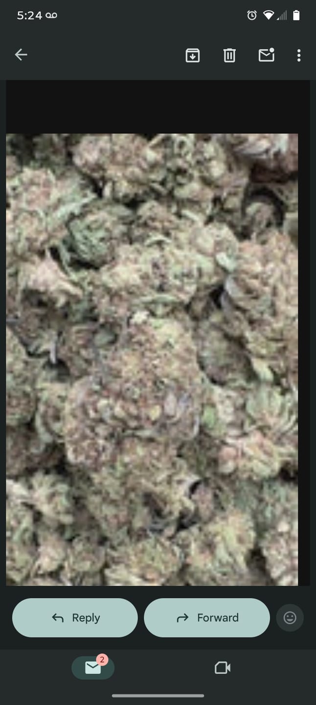 Customer photo review of Super Runtz Mediums - Bulk Mediums - Hybrid