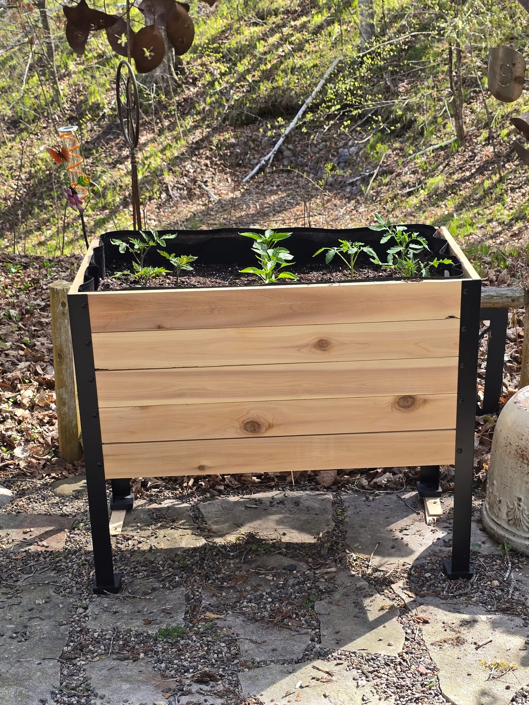 Customer photo review of 18" x 36" Raised Garden Bed - 30" TALL / Garden Grade