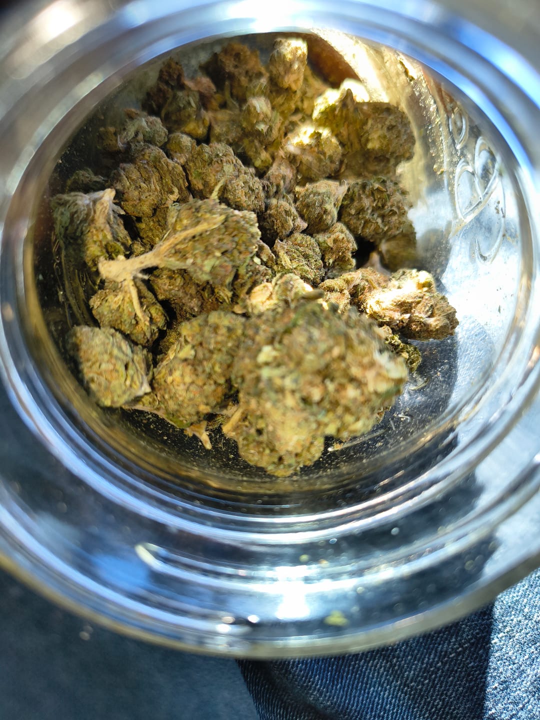 Customer photo review of Butterscotch OG - Bulk - Indica