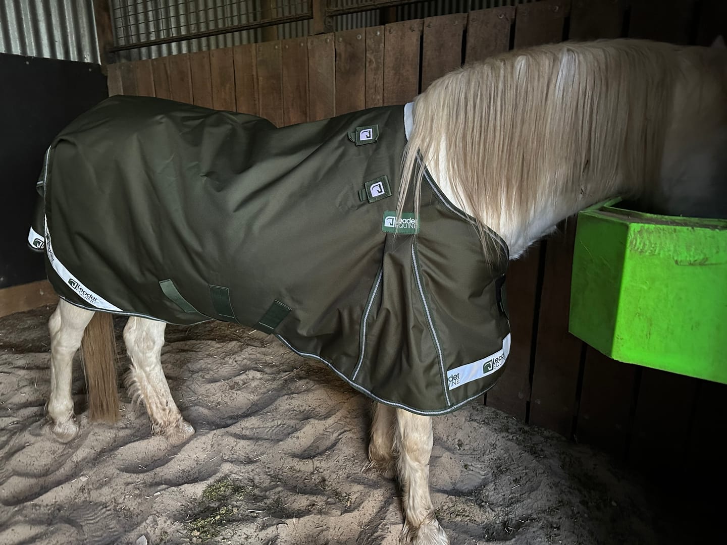 Customer photo review of LE Boxter Pony Turnout 50g
