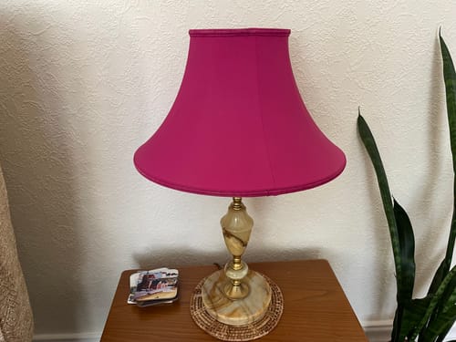 Customer photo review of Fabric Paint -- Raspberry