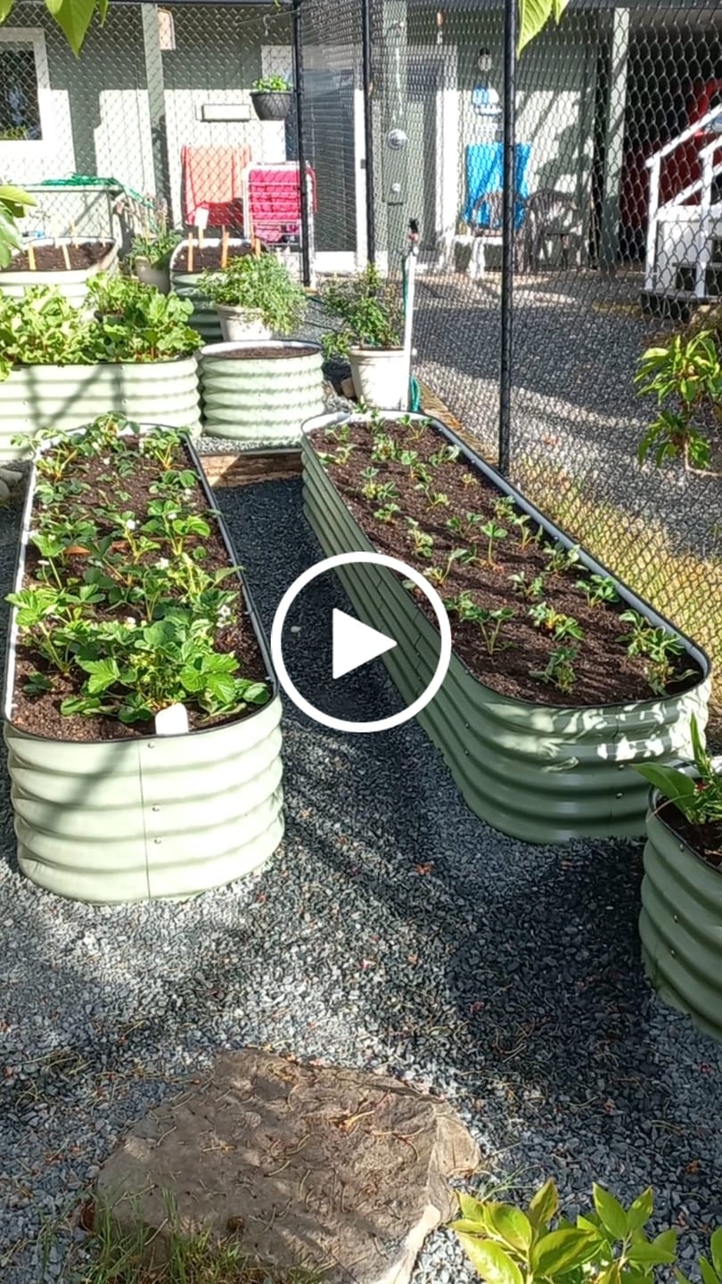 Customer video review of 17” Tall Extension Kit