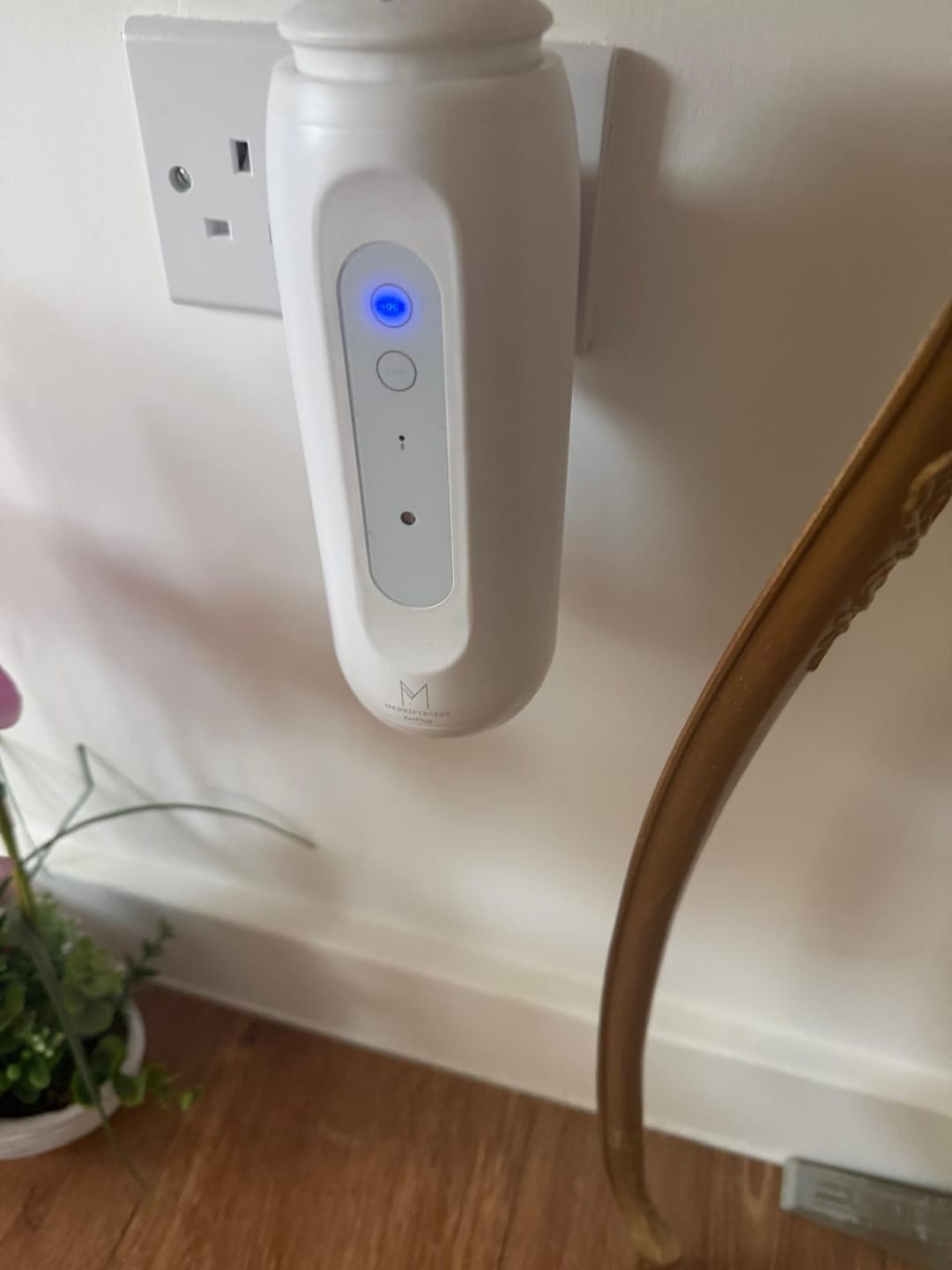 Customer photo review of ZenPlug – The Smart, Waterless Plug-In Diffuser
