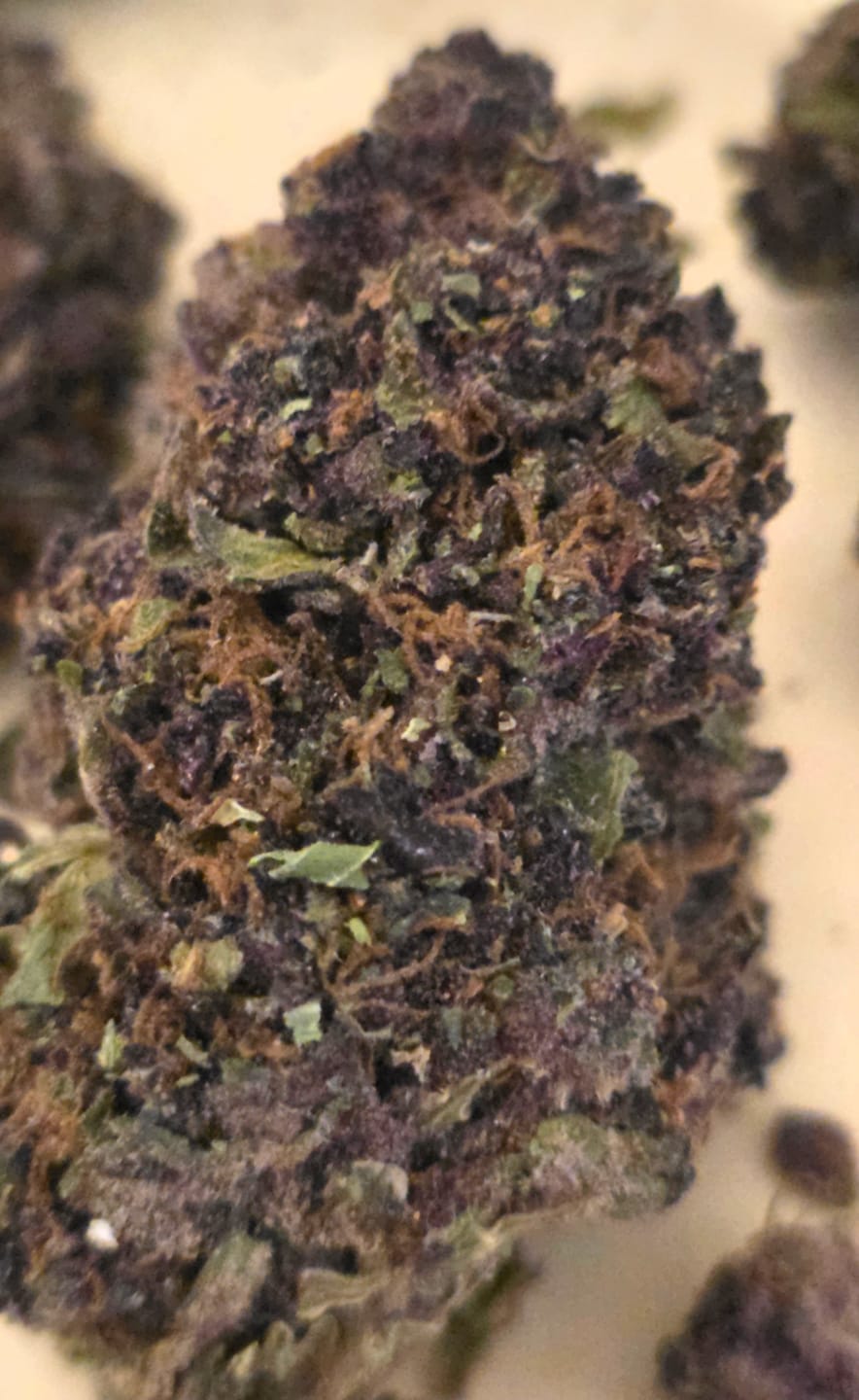 Customer photo review of Granddaddy Purple - 14 Grams - Indica