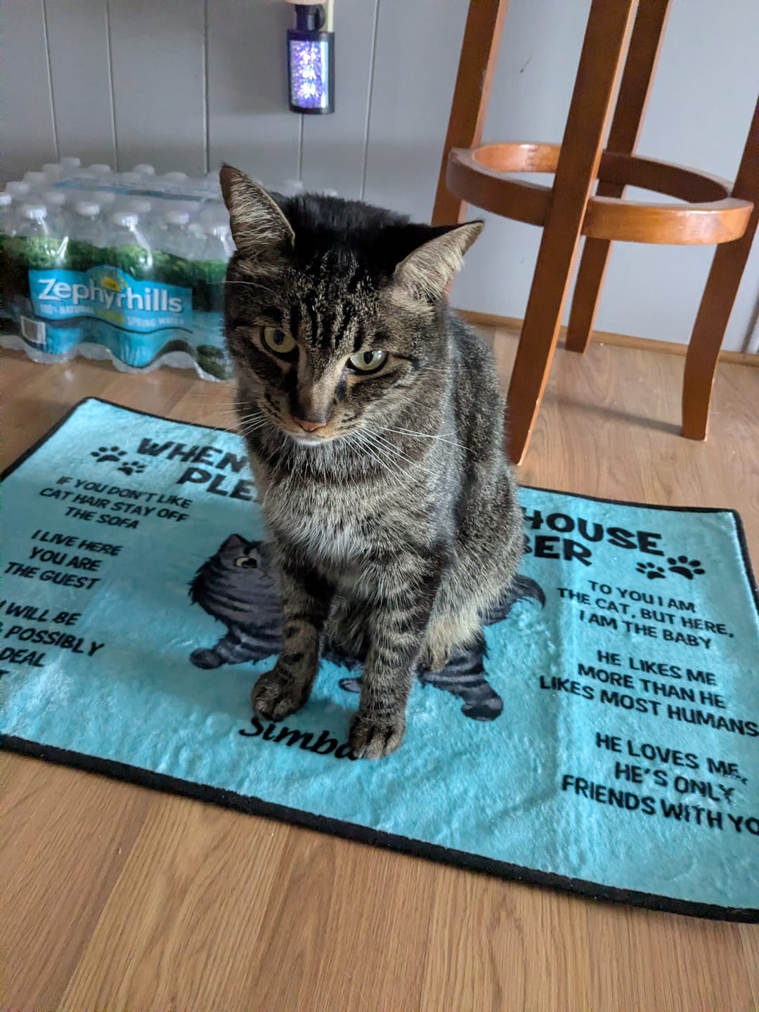 Customer photo review of Please Remember When Visiting Cats House Personalized Doormat