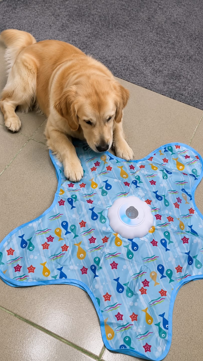 Customer photo review of Teasing UFO