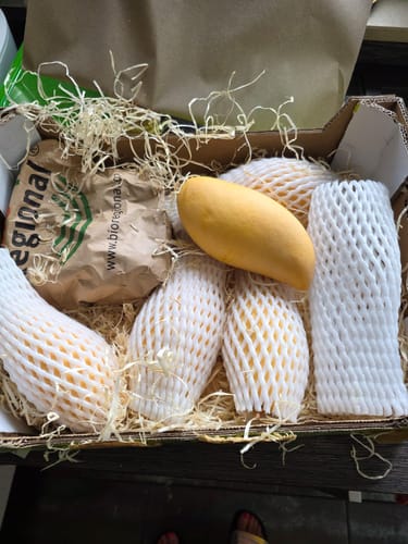 Kunde zeigt gelieferte Nam Dok Mai Mangos in einer offenen Box. Eine gelbe Mango liegt auf den verpackten Früchten.