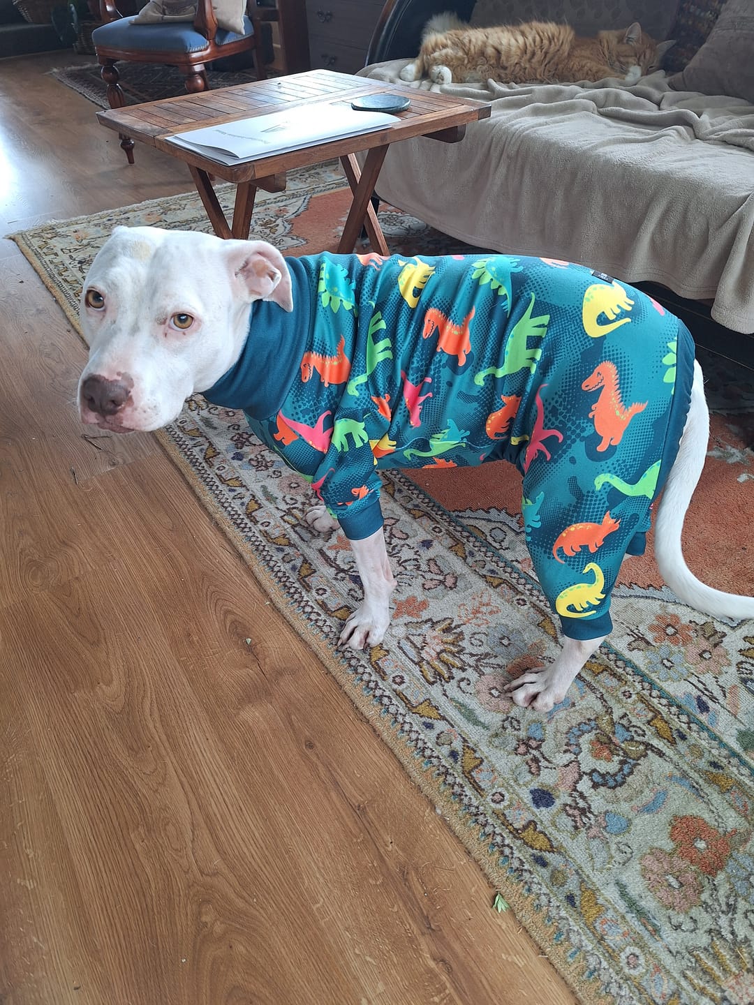 Customer photo review of Dog Pajama Prints