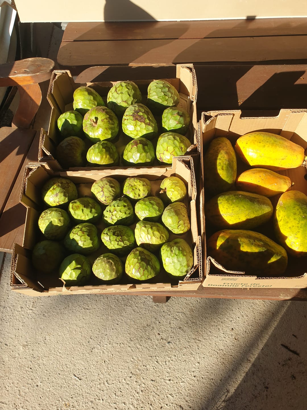 Customer photo review of Cherimoya Bio Hochernte-Retterbox Sonderaktion % 4kg